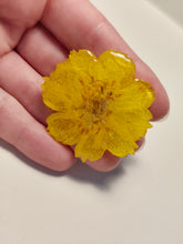 Charger l'image dans la galerie, Broche fleur naturelle Cosmos sulphureus jaune