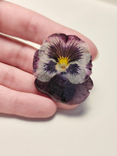 Charger l'image dans la galerie, Broche fleur naturelle Pensée violette et blanche