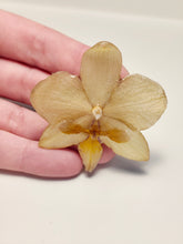 Charger l'image dans la galerie, Broche fleur naturelle Orchidée jaune