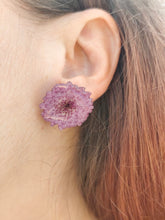 Charger l'image dans la galerie, Boucles d'oreilles fleurs naturelles roses
