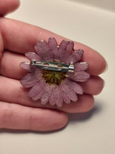 Charger l'image dans la galerie, Broche fleur naturelle Marguerite rose