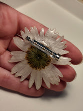 Charger l'image dans la galerie, Broche fleur naturelle Marguerite blanche