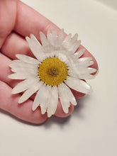 Charger l'image dans la galerie, Broche fleur naturelle Marguerite blanche
