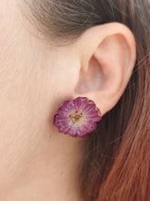 Charger l'image dans la galerie, Boucles d'oreilles fleurs naturelles roses violettes
