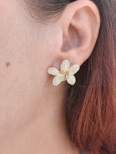 Charger l'image dans la galerie, Boucles d'oreilles fleurs naturelles blanches
