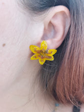 Charger l'image dans la galerie, Boucles d'oreilles fleurs naturelles jaunes
