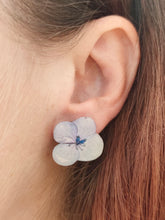 Charger l'image dans la galerie, Boucles d'oreilles fleurs naturelles Hortensias blanches nuancés de bleu
