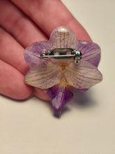 Charger l'image dans la galerie, Broche fleur naturelle Orchidée blanche et violette
