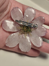 Charger l'image dans la galerie, Broche fleur naturelle blanche cœur jaune
